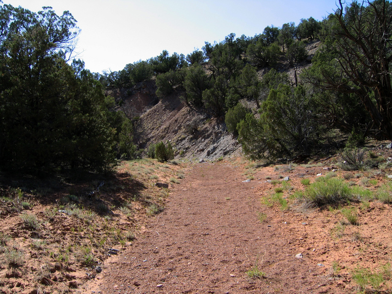 View west from clearing.