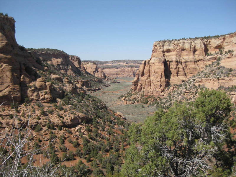 The view north up Tom's Canyon after exiting the moose ravine and heading NE