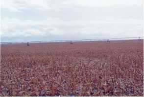 #1: View from confluence to the south