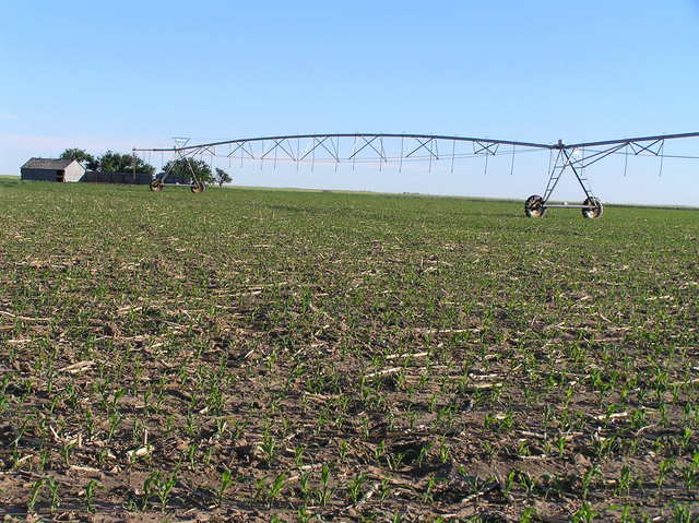 Looking northwest at the confluence of 40 North 103 West.