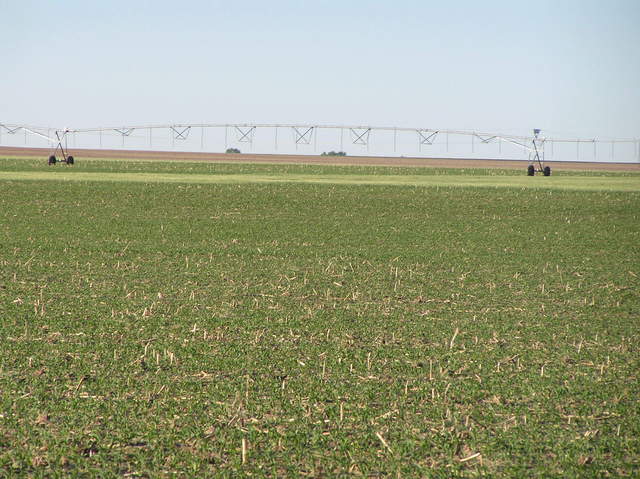 View to the south from the confluence.