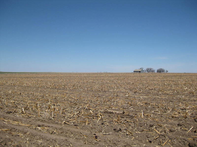 Looking northwest at the site