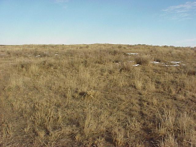 View to the east from the confluence.