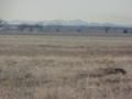 #3: View to the west from the confluence toward the Rocky Mountain Front Range.