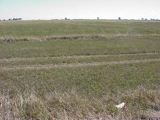 #1: Confluence site of 40 North 105 West on the high plains of Colorado.