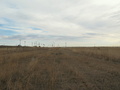 #2: Looking East with Baseline Road on left