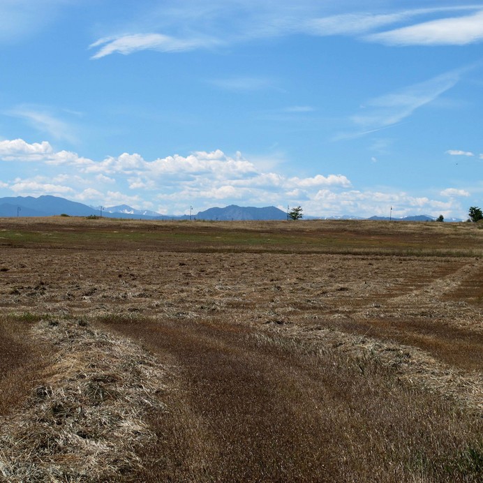 Rocky Mountains in the distance in the view to the west.