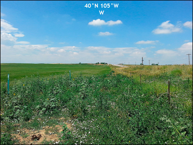 Western view looking at the intersection of HWY 7 and Sheridan Pkwy