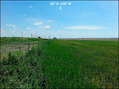 #2: Looking E toward Huron Street and I-25 in the distance