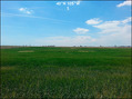 #3: Looking S across hayfield with some oil & gas equipment