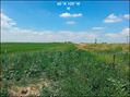 #4: Western view looking at the intersection of HWY 7 and Sheridan Pkwy