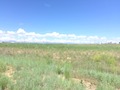 #3: Looking west in the field. 