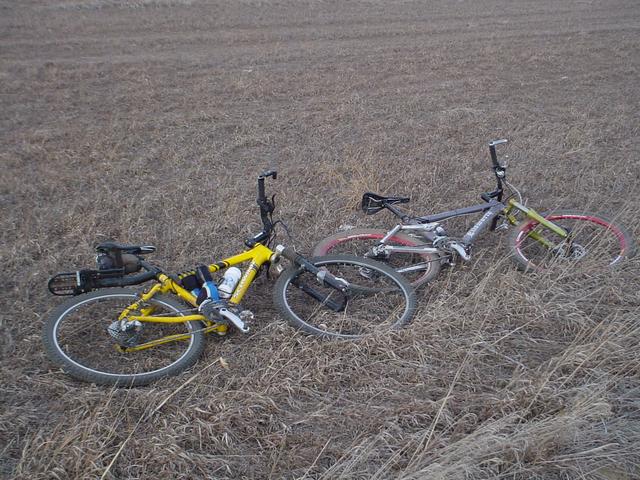 Matt and Ben's mountain bikes.