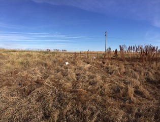 #1: View to the north and State Road 7