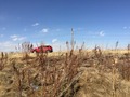 #2: View to the north from the confluence. 