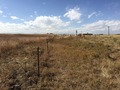 #4: View to the west from the confluence.