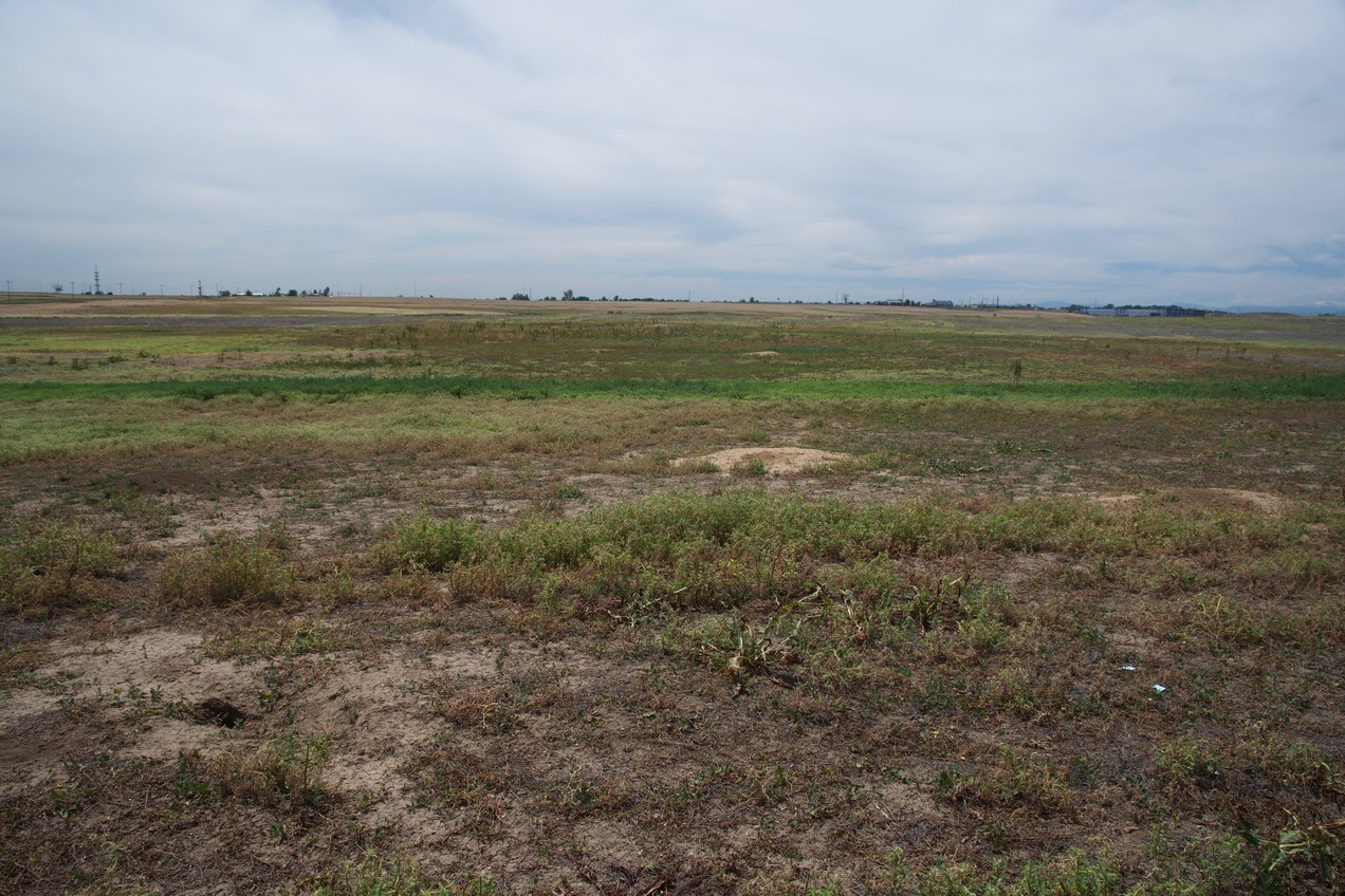 View South.  (How long will this field remain undeveloped?)