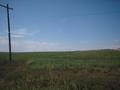 #2: View to the north from the confluence