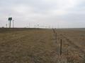 #4: Looking east along Baseline Road