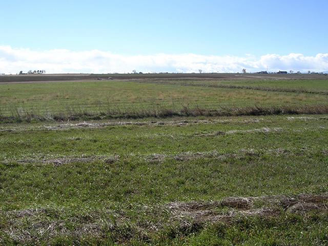 view of confluence