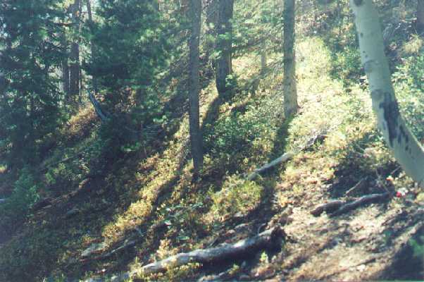 View to the south from the confluence