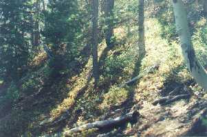 #1: View to the south from the confluence