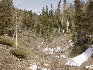 #1: View to the east, up the Blue Ridge, toward the confluence.