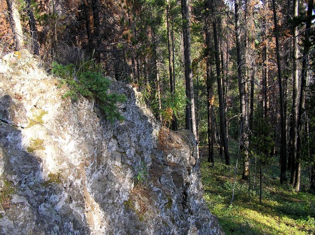 Confluence rock:  40 meters west of confluence, looking north.