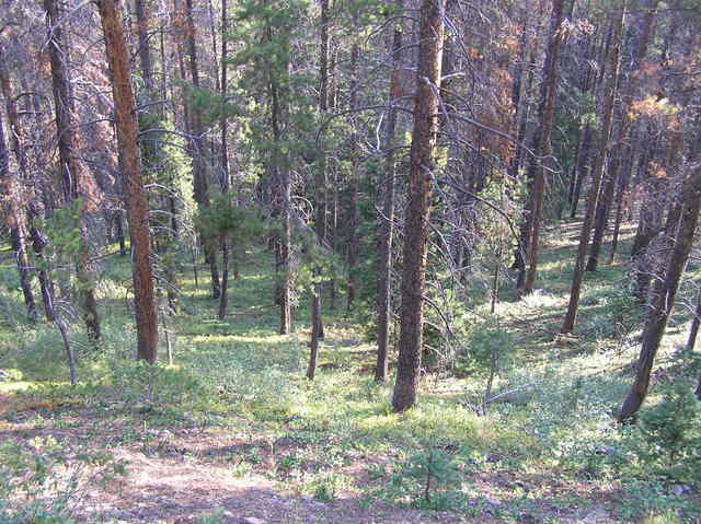 The site of 40 North 106 West, from above and to the west.  The confluence is located in the center-left foreground.