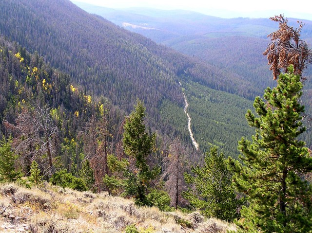 From atop the ridge 1.3 km west of the confluence, looking west on the starting point, the road.