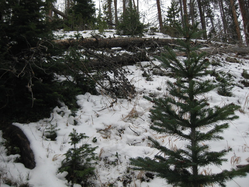 View to the west and slightly uphill