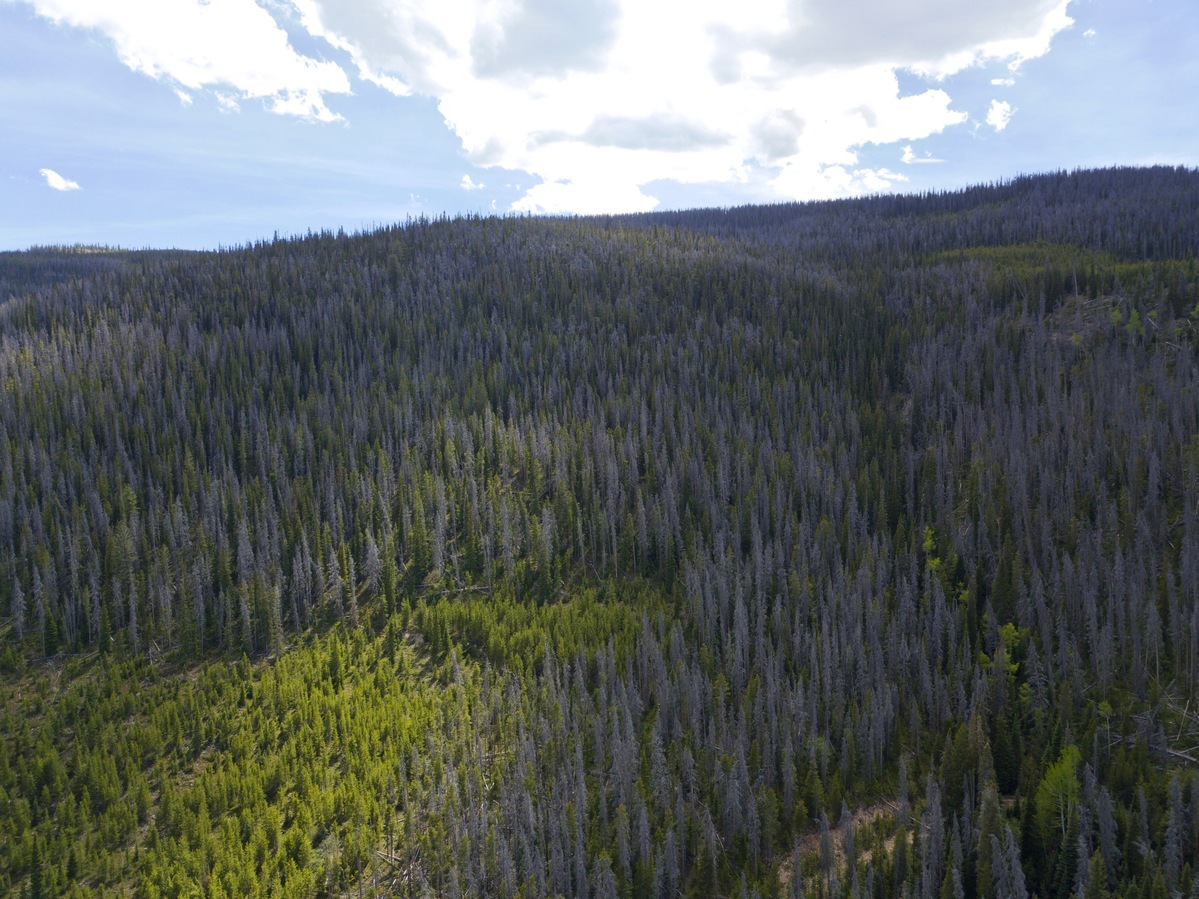 View South, from 120m above the point