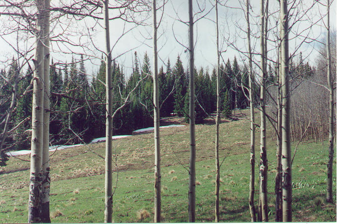 View to the south from the confluence