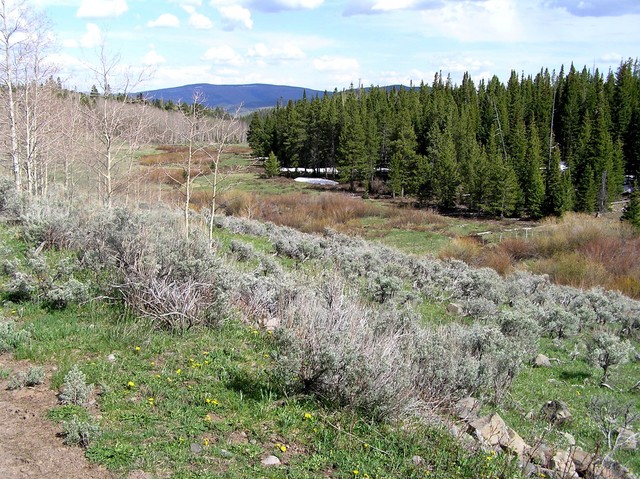 View to the southeast from the furthest I reached on the trail.