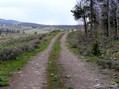 #4: Four-wheel drive road I hiked on toward 40 North 107 West.