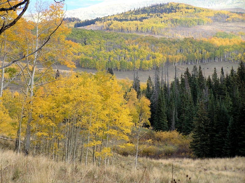 Beautiful view to the southeast about 15 meters to the southwest of the confluence.