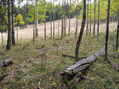 #4: View to the southwest from the confluence.