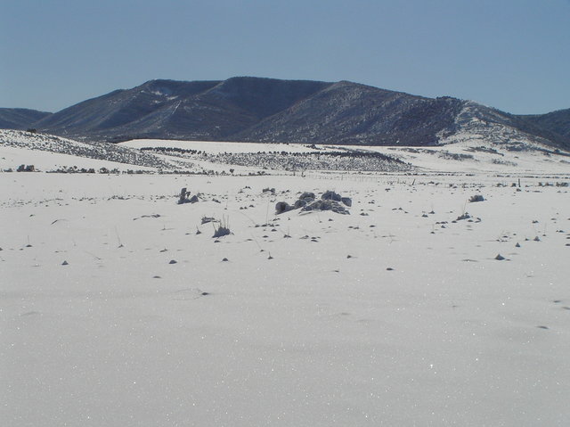 View to the south from the confluence.