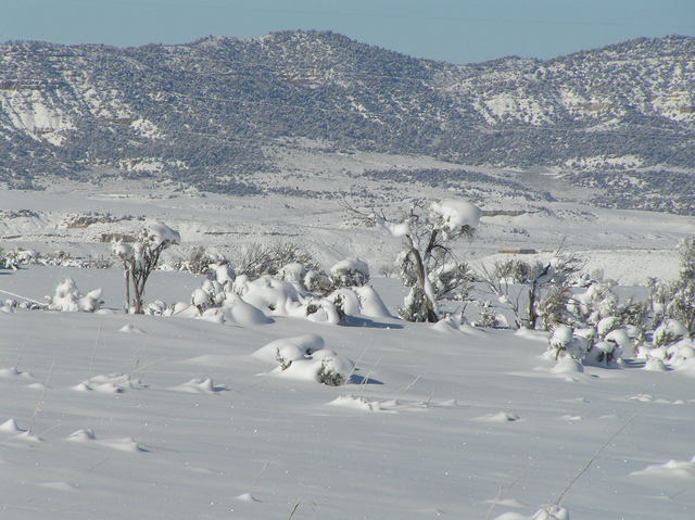 View to the west from the confluence.