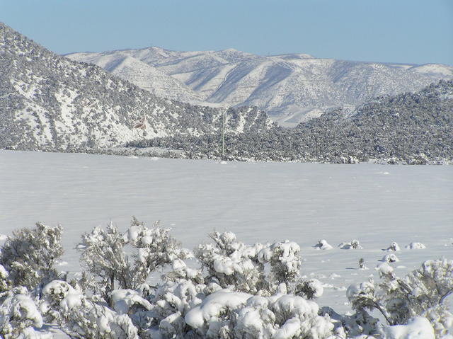 View to the east-northeast from the confluence in beautiful Western Colorado.