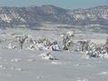 #10: View to the west from the confluence.