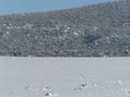 #6: View to the east from the confluence showing my tracks through the snow.