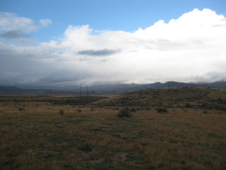 #1: Looking northeast at the confluence in the foreground (near the drooping thistle and hole)