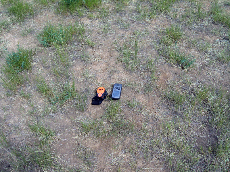 Ground cover at confluence