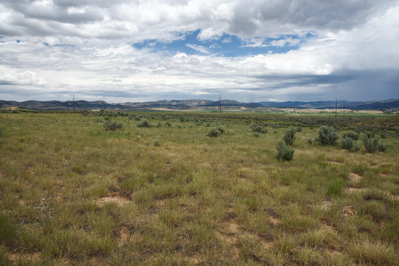 The confluence point lies in a flat area of ranchland.  (This is also a view to the North.)