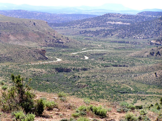 View to the south from the confluence.