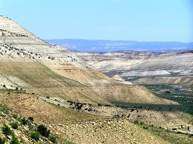 View to the north along Cottonwood Canyon from the edge of the cliff 25 meters east of the confluence.