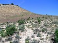 #3: View to the north from the confluence.