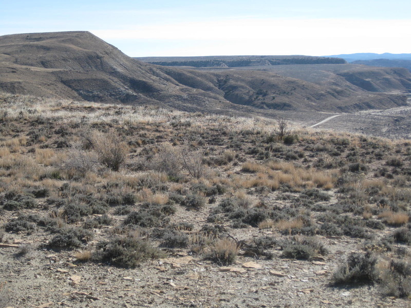 View of the confluence looking southeast