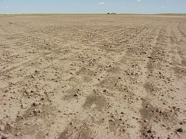 Looking toward the east at the confluence, in the foreground, and the eastern horizon.